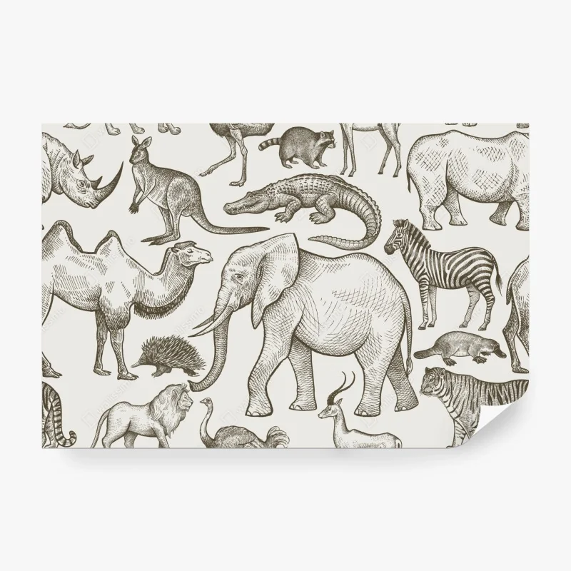 Fototapete verschiedene trockene nudeln und frische zutaten – Wallnifity®