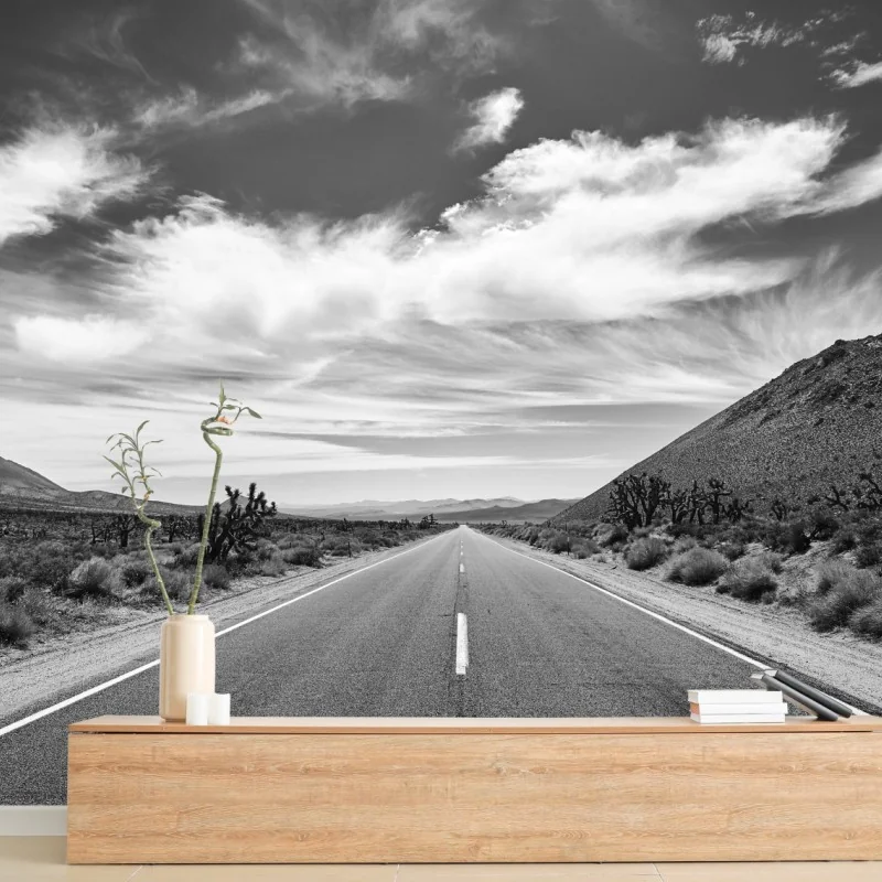 Fototapete Death Valley offene Straße in schwarzweiß