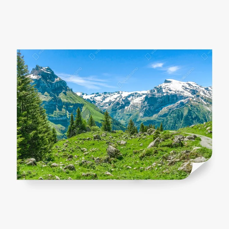 Fototapete tropischer sonnenuntergang mit palmen – Wallnifity®