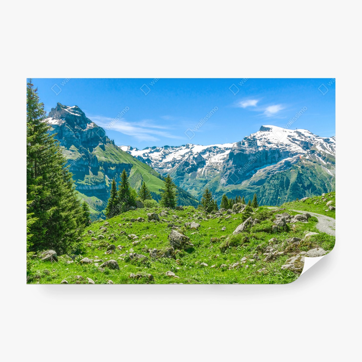 Fototapete sonnige alpwiese in Engelberg – Wallnifity® Fototapete sonnige alpwiese in Engelberg – Wallnifity®