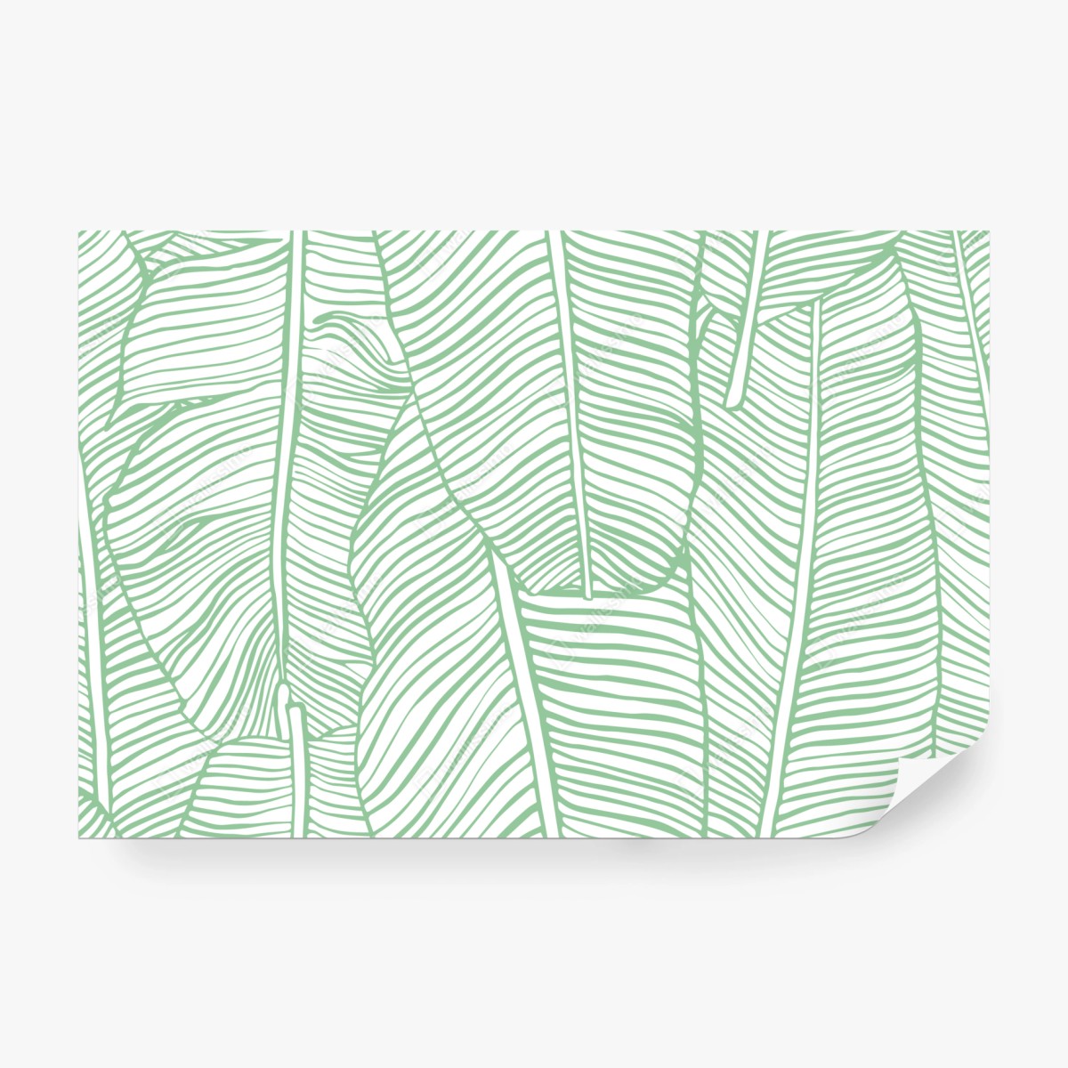 Fototapete mintfarbenes bananenblattmuster – Wallnifity® Fototapete mintfarbenes bananenblattmuster – Wallnifity®