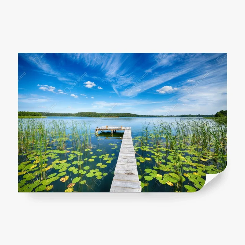 Fototapete leuchtender sonnenblumenstrauß auf gelbem hintergrund – Wallnifity®