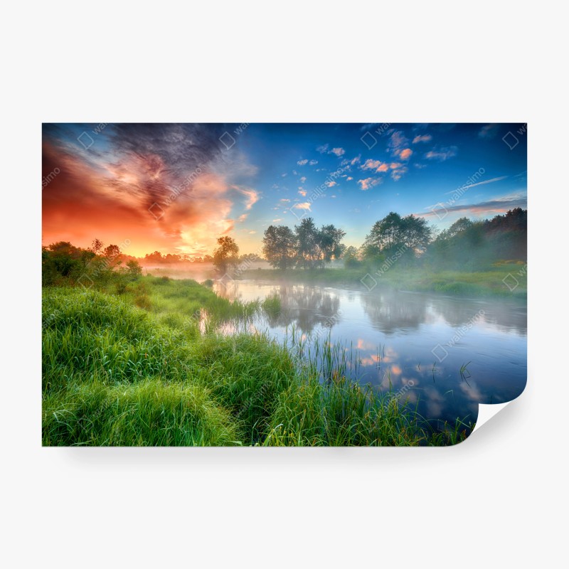 Fototapete goldener herbstwald pfad – Wallnifity®