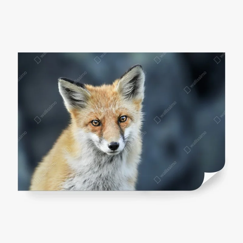 Fototapete tropischer sonnenuntergang am meer – Wallnifity®