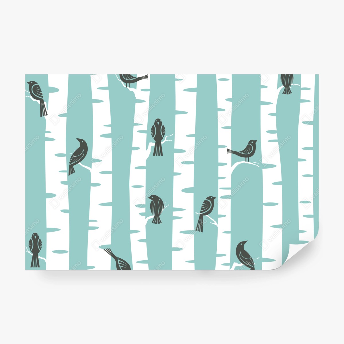 Fototapete türkis birkenwald mit vögeln – Wallnifity® Fototapete türkis birkenwald mit vögeln – Wallnifity®