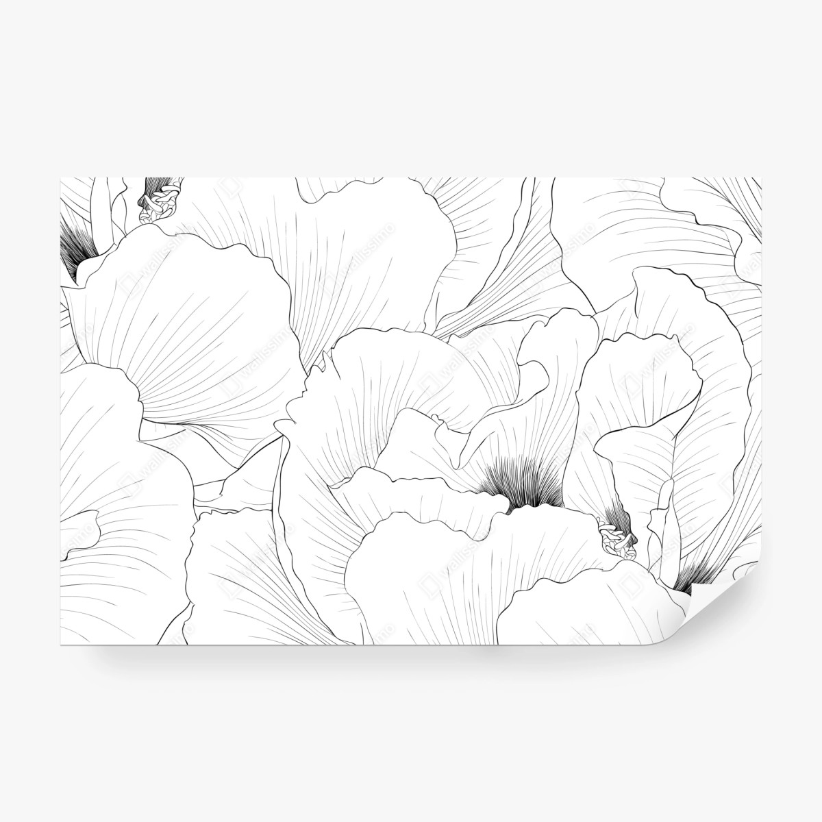 Fototapete feine botanische linienzeichnung mit blumen – Wallnifity®