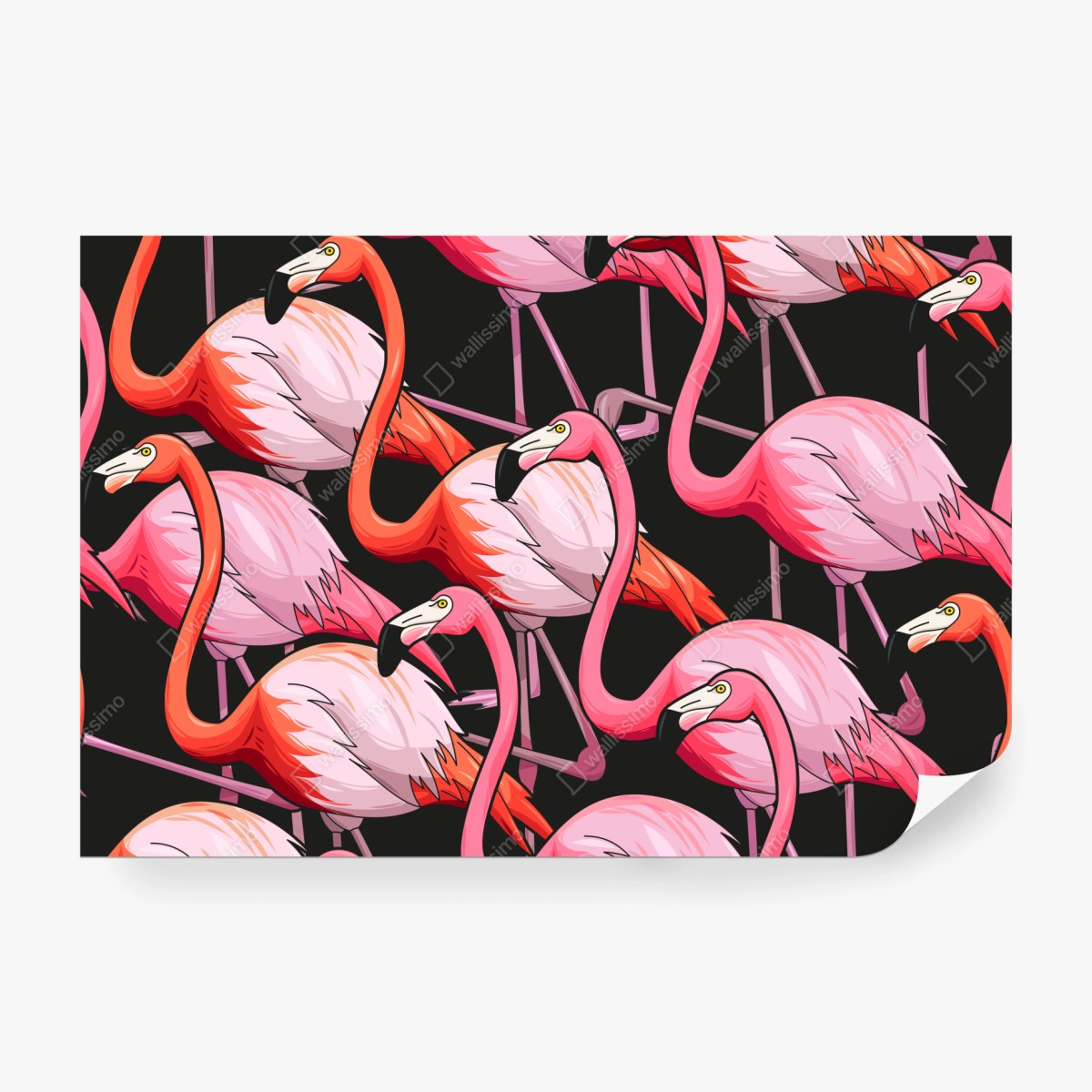 Fototapete rosa flamingo-muster auf schwarzem hintergrund – Wallnifity® Fototapete rosa flamingo-muster auf schwarzem hintergrund – Wallnifity®