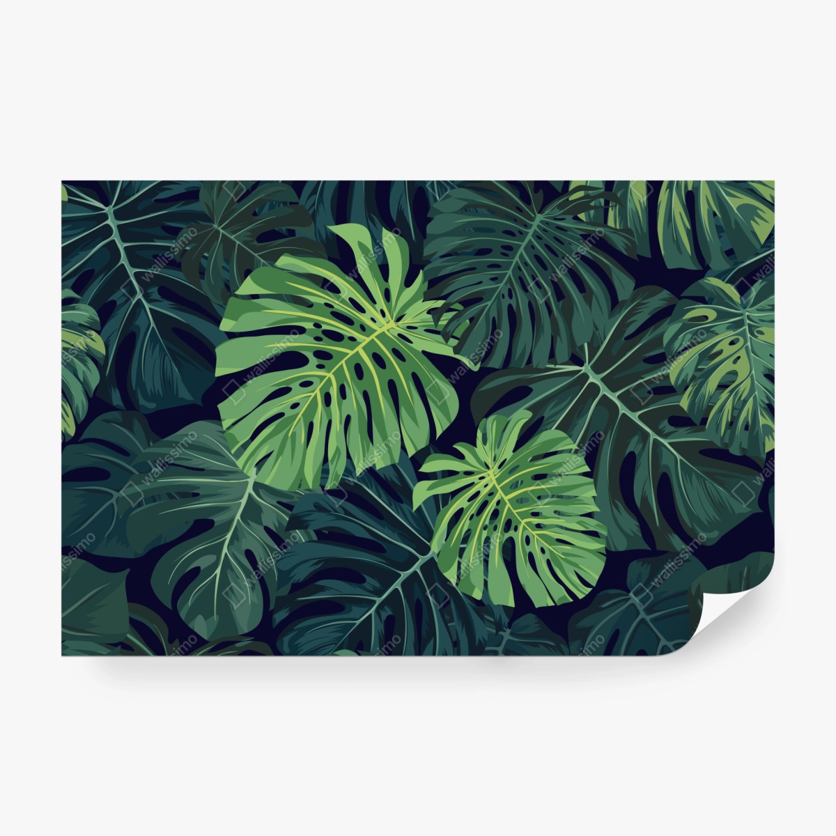 Fototapete tropisches monstera-blattmuster – Wallnifity® Fototapete tropisches monstera-blattmuster – Wallnifity®