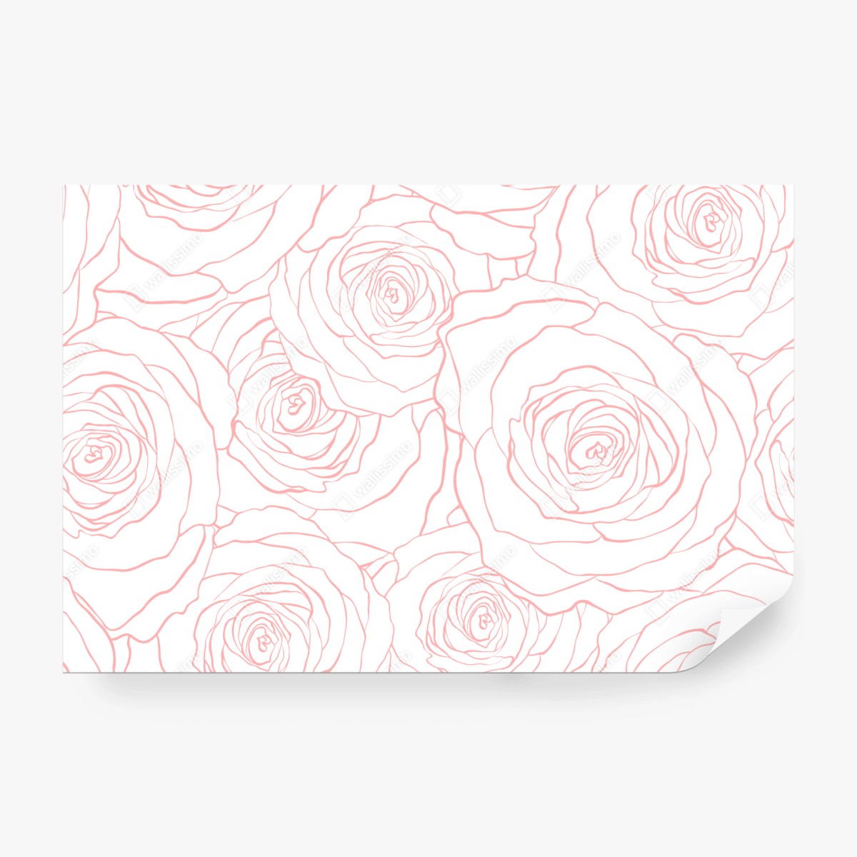 Fototapete zartes muster rosa rosen – Wallnifity®