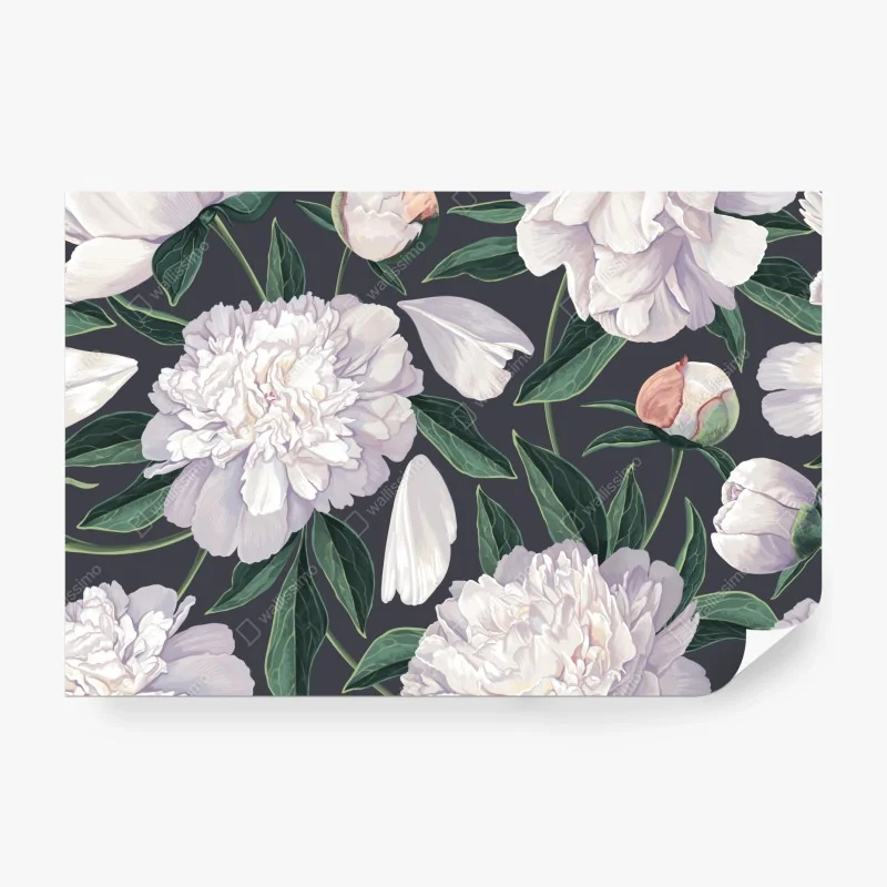 Fototapete blick auf den vulkan Koryaksky vom nordosthang – Wallnifity®