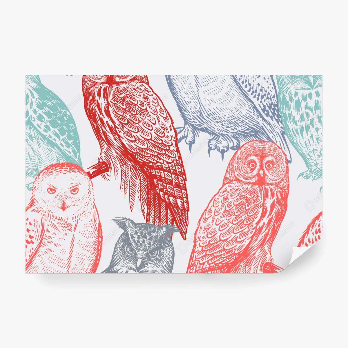 Fototapete farbenfrohes eulenmuster – Wallnifity®