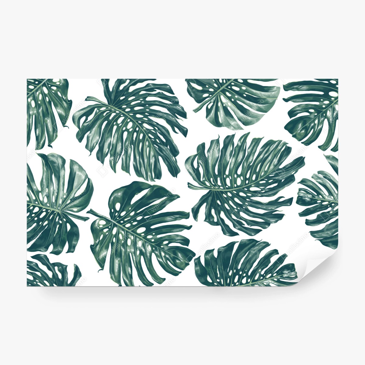 Fototapete monstera blatt botanisches muster – Wallnifity®