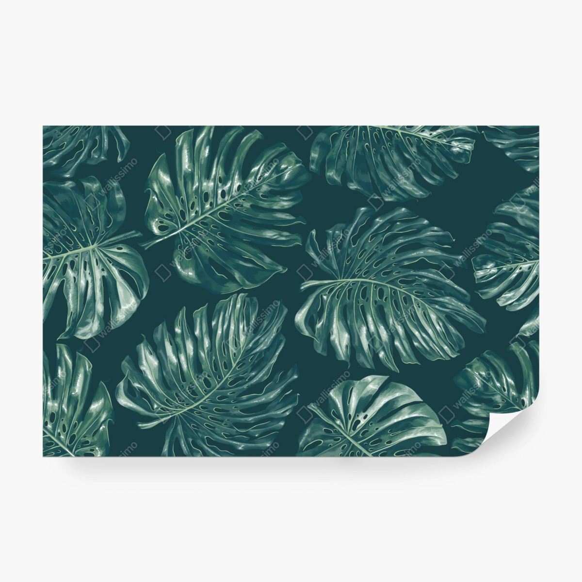 Fototapete tropisches monstera-blattmuster – Wallnifity®