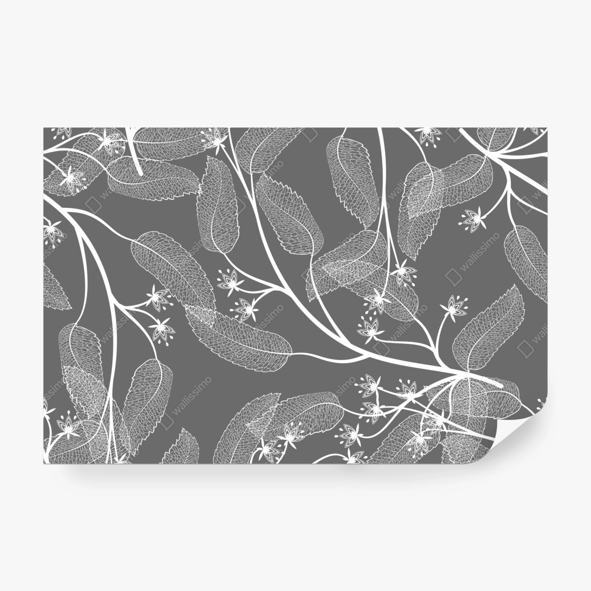 Fototapete zarte weiße blätter auf grauem hintergrund – Wallnifity®