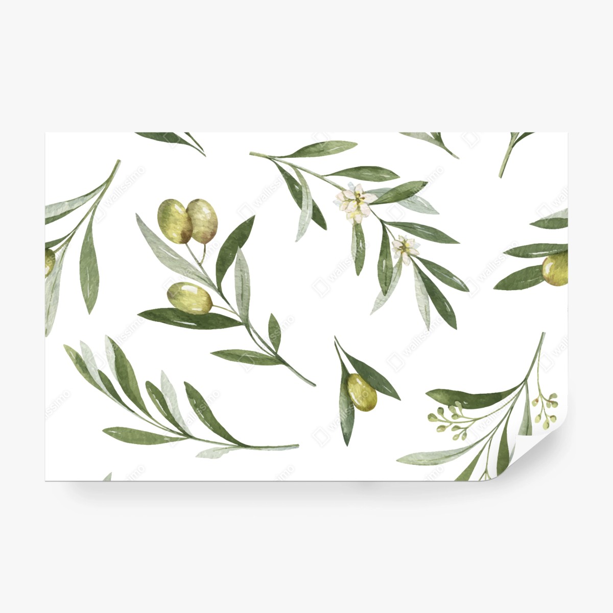 Fototapete aquarell olivenzweige muster – Wallnifity®