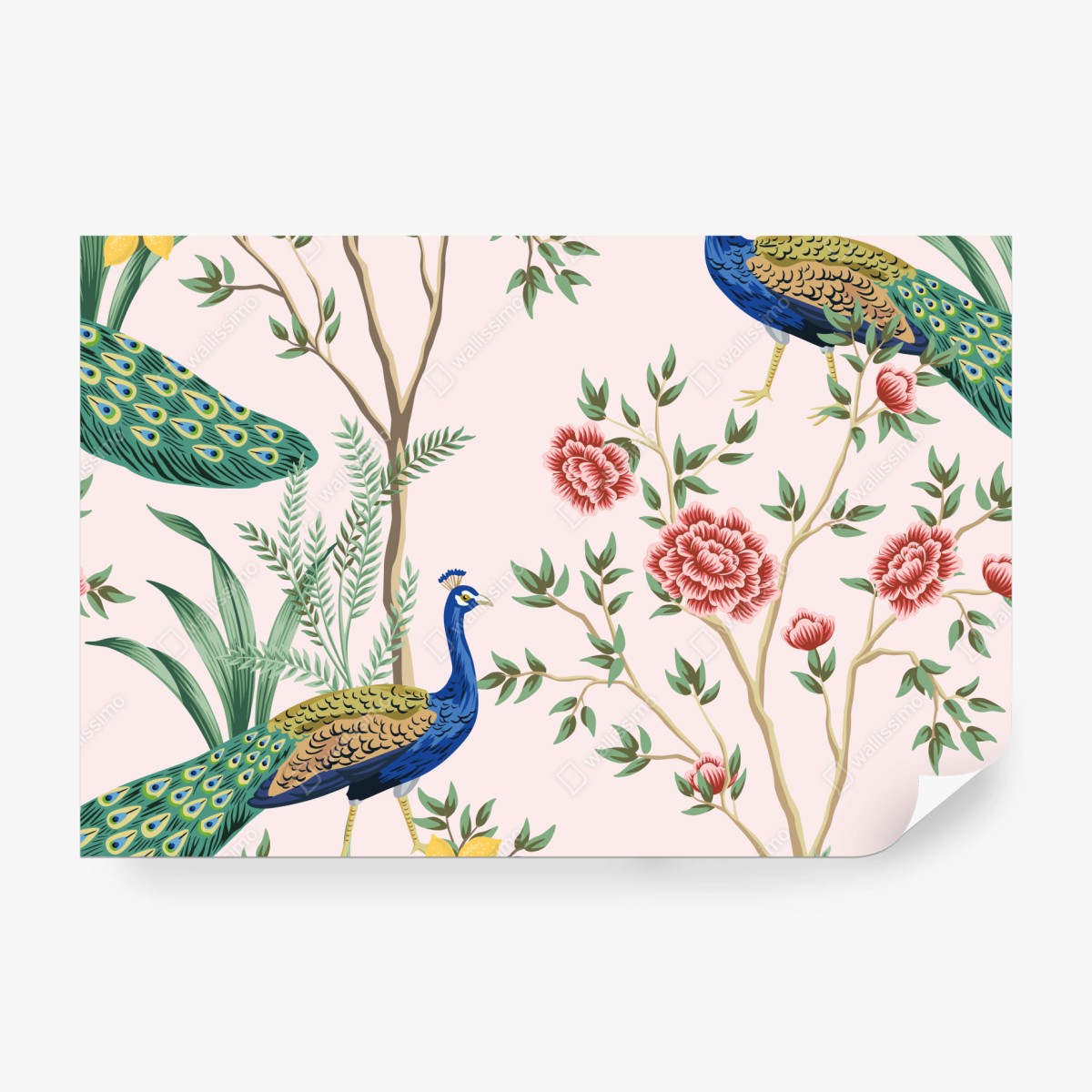 Fototapete elegantes pfau- und blumenmuster auf rosa hintergrund – Wallnifity® Fototapete elegantes pfau- und blumenmuster auf rosa hintergrund – Wallnifity®