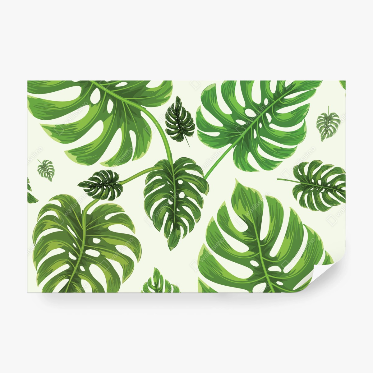 Fototapete tropisches monstera-blattmuster – Wallnifity®