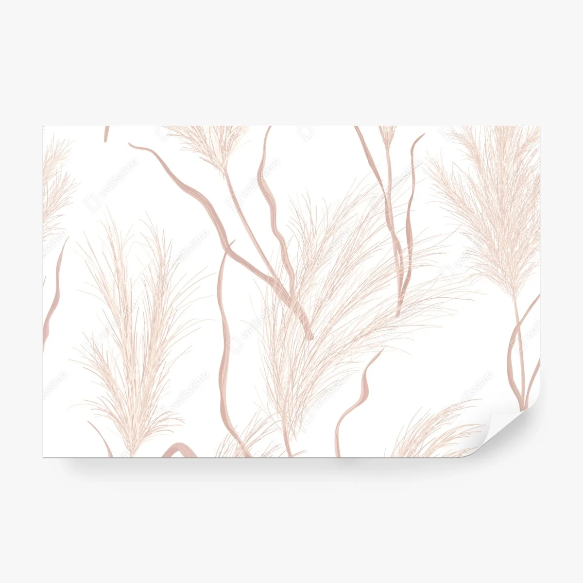 Fototapete zartes pampasgras-motiv – Wallnifity® Fototapete zartes pampasgras-motiv – Wallnifity®