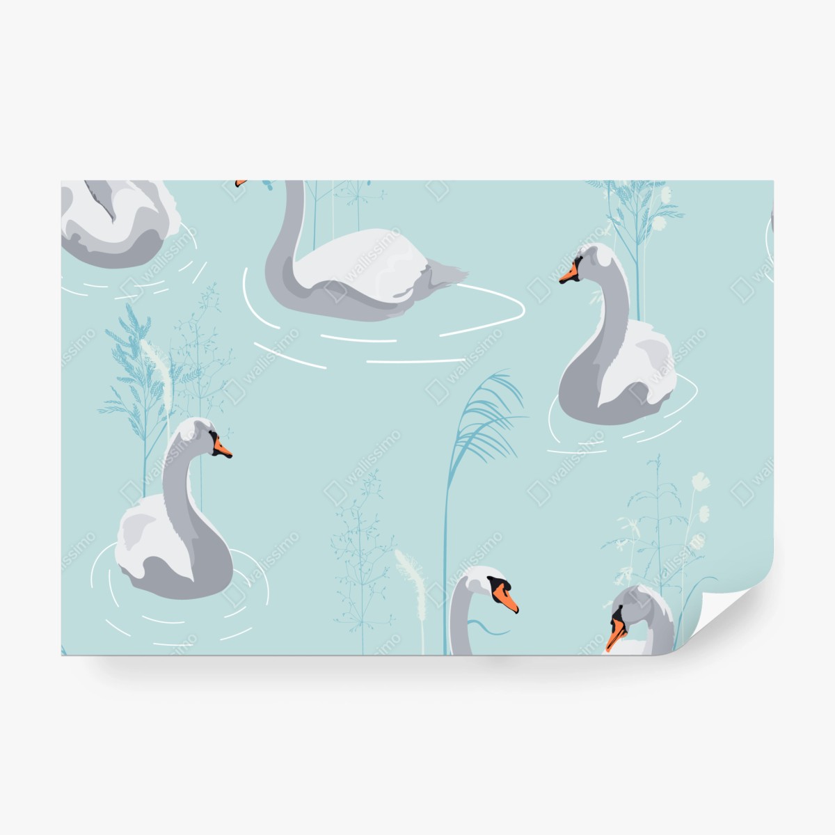 Fototapete sanfte schwäne auf türkisfarbenem teich – Wallnifity® Fototapete sanfte schwäne auf türkisfarbenem teich – Wallnifity®