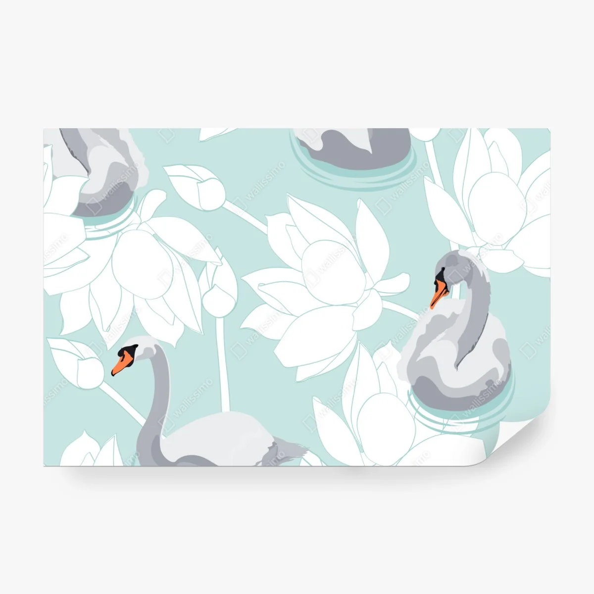 Fototapete sanfte schwäne und lotusblumen – Wallnifity®