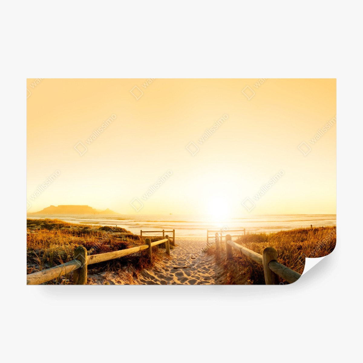 Fototapete goldenes sonnenuntergangspanorama am strand mit Tafelberg – Wallnifity® Fototapete goldenes sonnenuntergangspanorama am strand mit Tafelberg – Wallnifity®