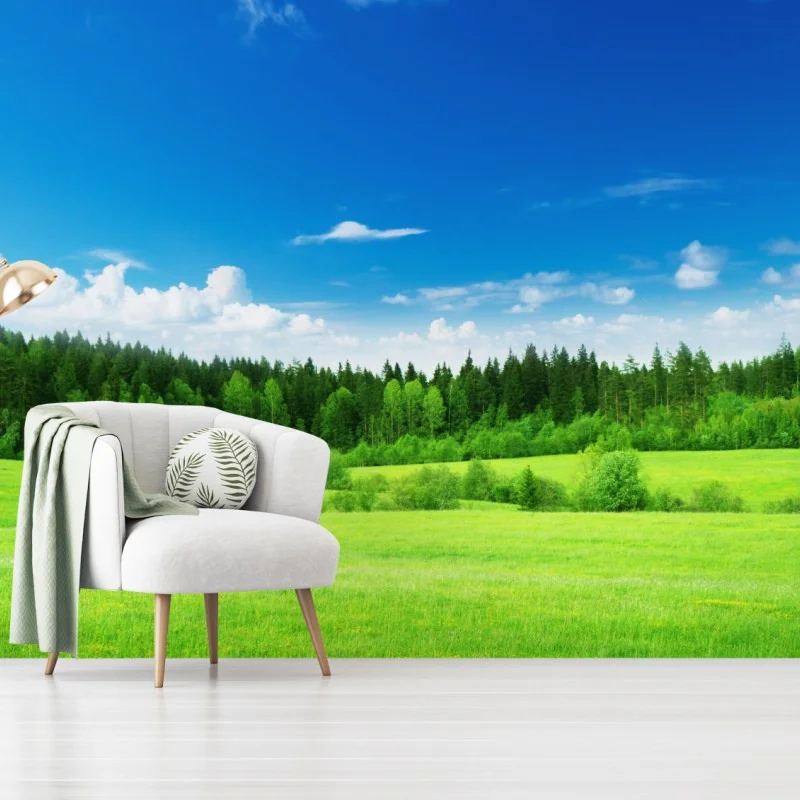 Fototapete frühlingswiese unter blauem himmel – Wallnifity® Fototapete frühlingswiese unter blauem himmel – Wallnifity®