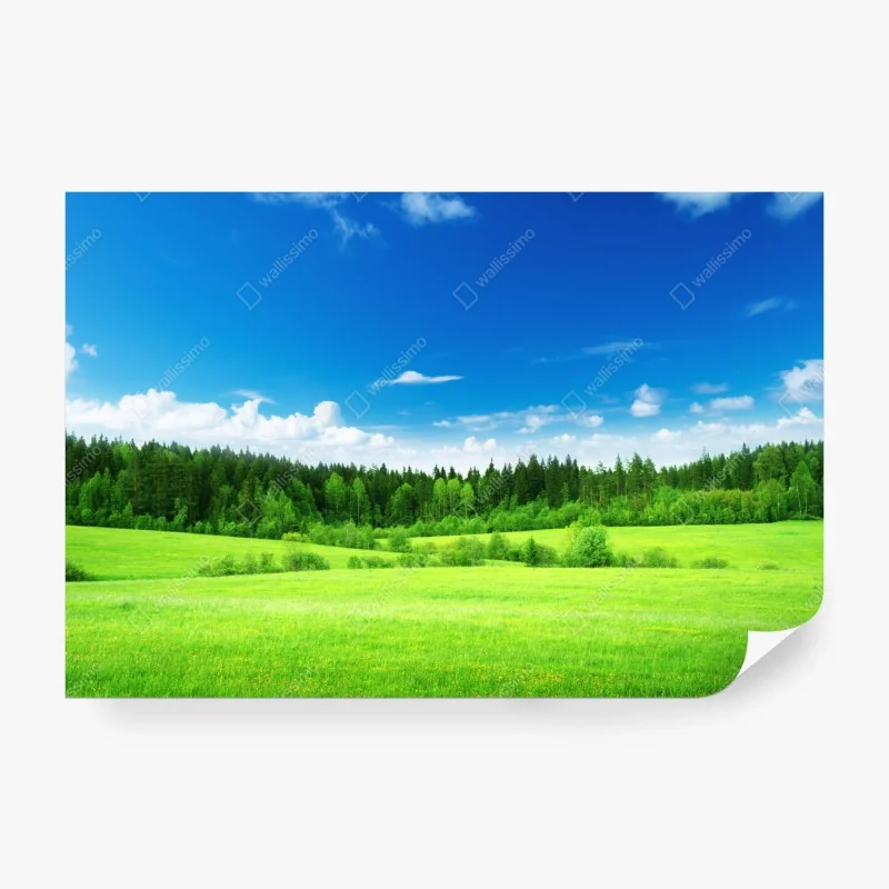 Fototapete schloss Neuschwanstein bei sonnenuntergang – Wallnifity®