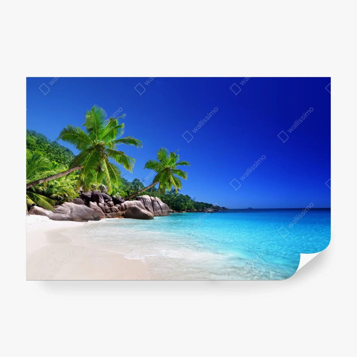 Fototapete tropischer strand mit türkisfarbenem wasser und palmen – Wallnifity® Fototapete tropischer strand mit türkisfarbenem wasser und palmen – Wallnifity®