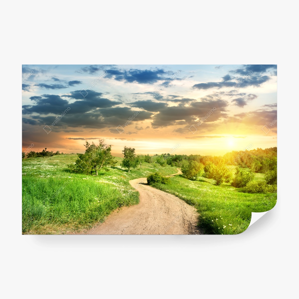 Fototapete sonnenuntergang über einem feldweg durch grüne wiese – Wallnifity® Fototapete sonnenuntergang über einem feldweg durch grüne wiese – Wallnifity®