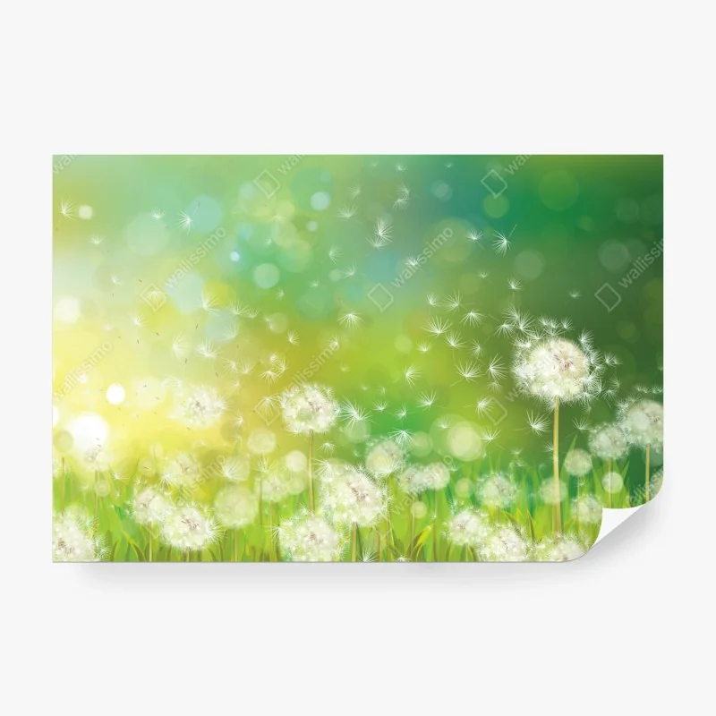 Fototapete majestätisches graues pferd galoppiert durch den sand – Wallnifity®