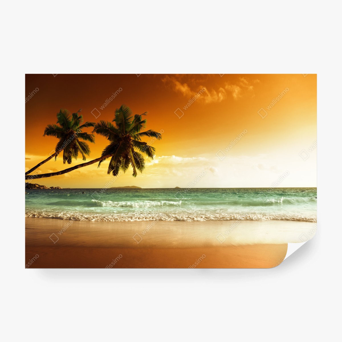 Fototapete karibischer sonnenuntergang am strand mit palmen – Wallnifity®