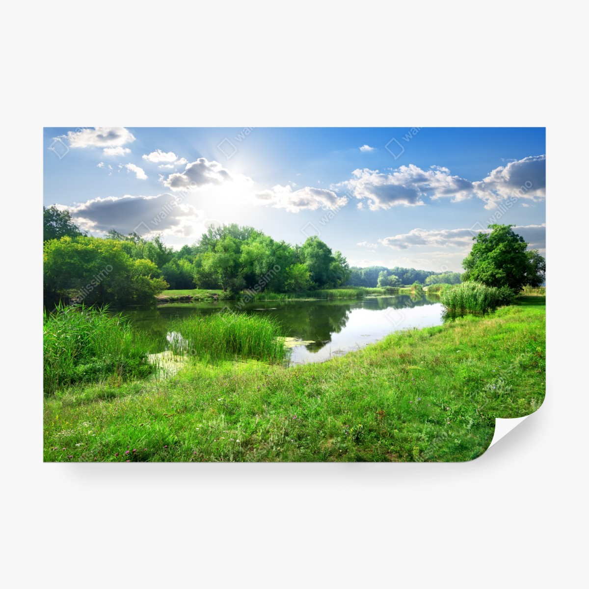 Fototapete sonnige wiese am fluss – Wallnifity® Fototapete sonnige wiese am fluss – Wallnifity®
