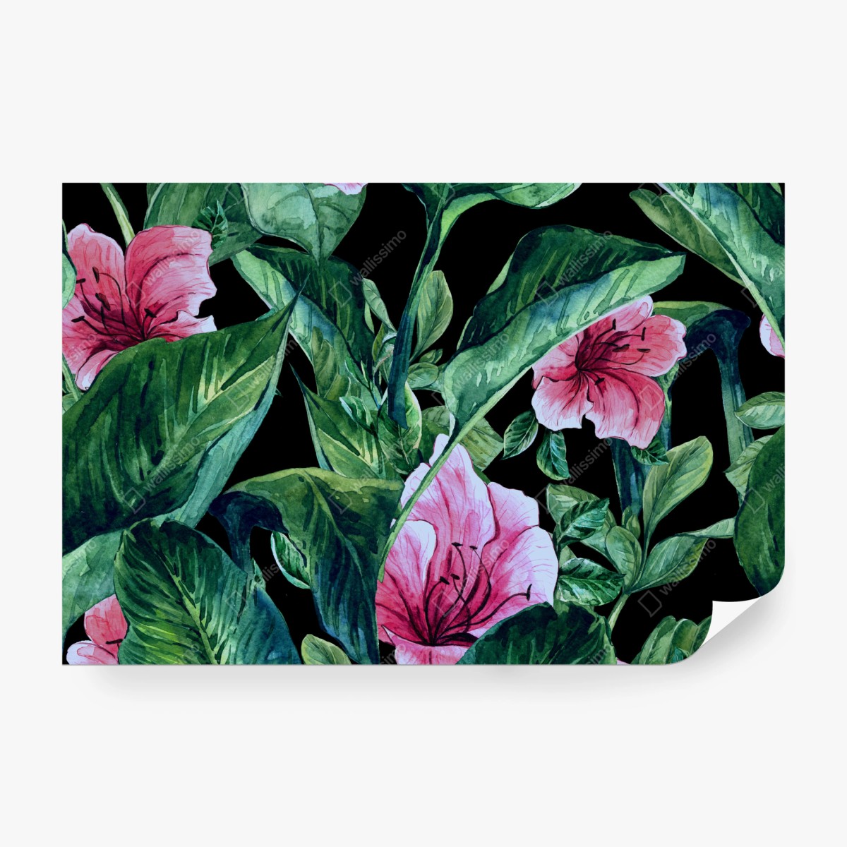 Fototapete rosa aquarellblumen auf schwarzem hintergrund – Wallnifity® Fototapete rosa aquarellblumen auf schwarzem hintergrund – Wallnifity®