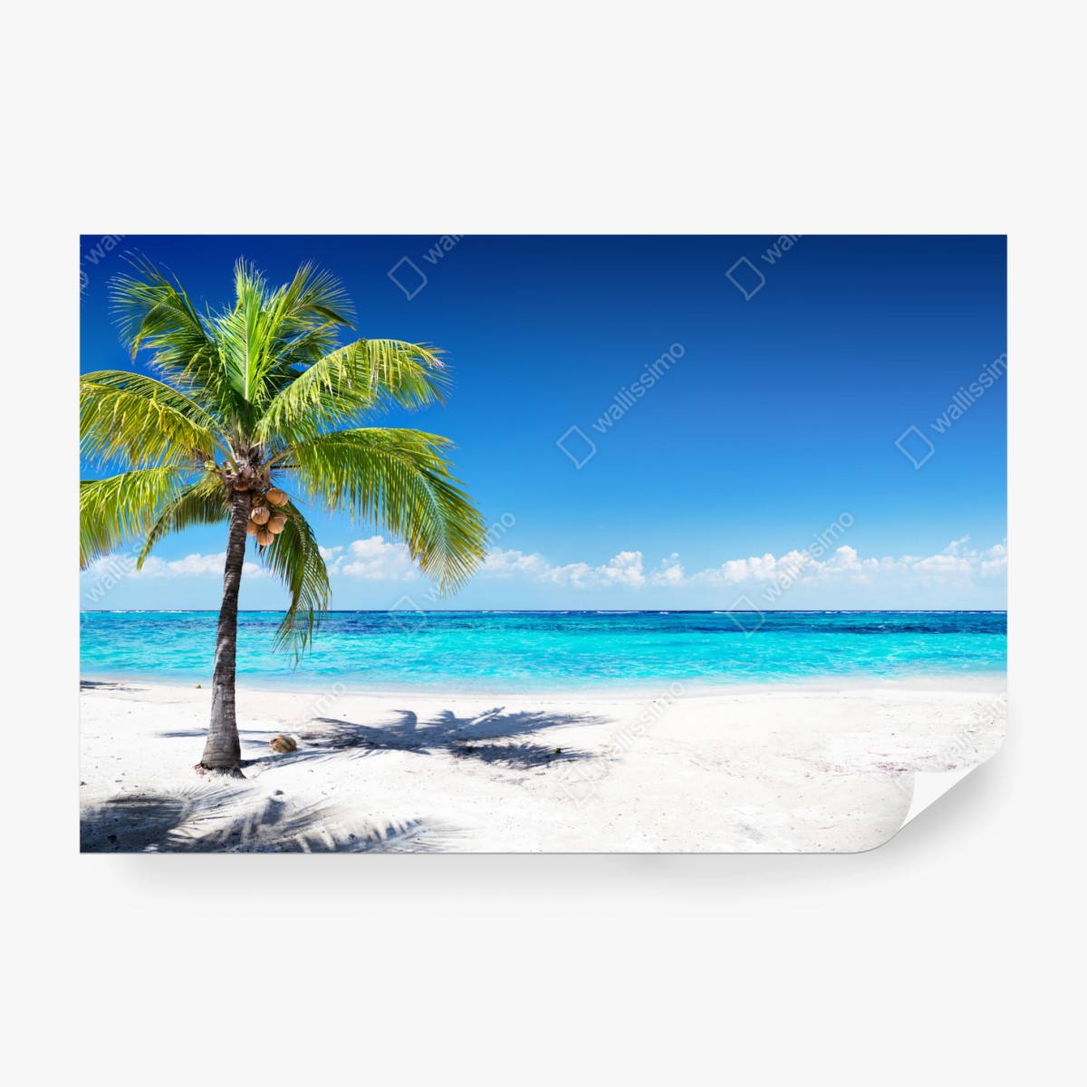 Fototapete tropische palme an einer türkisfarbenen bucht – Wallnifity® Fototapete tropische palme an einer türkisfarbenen bucht – Wallnifity®