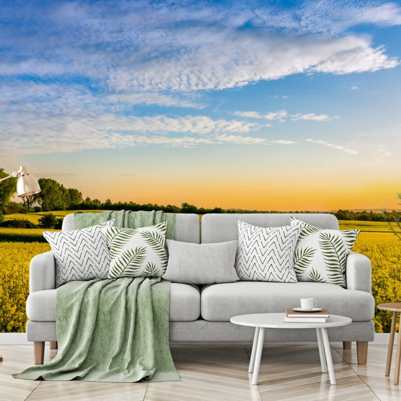 Fototapete sonnenbeschienenes rapsfeld im abendlicht