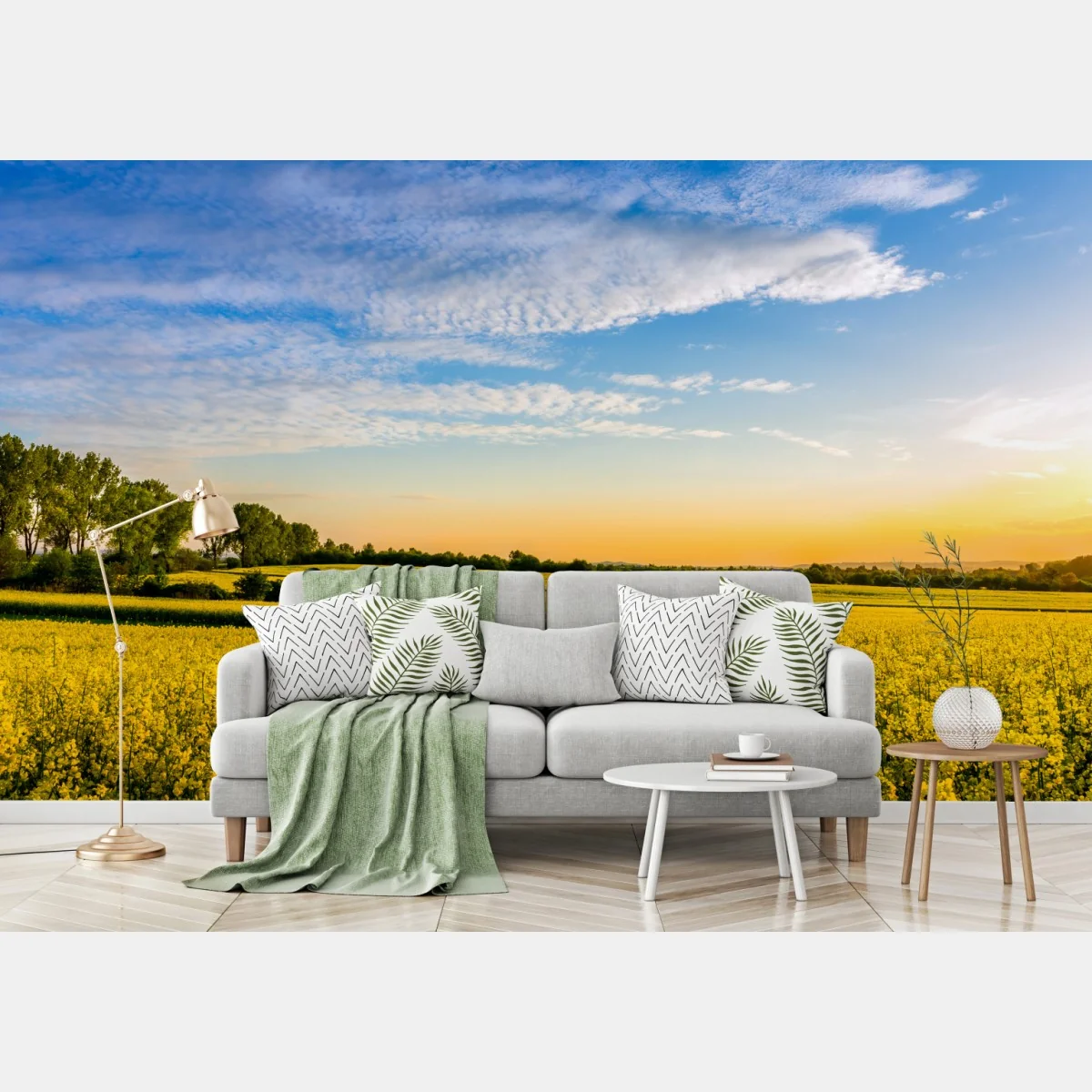 Fototapete sonnenbeschienenes rapsfeld im abendlicht – Wallnifity®