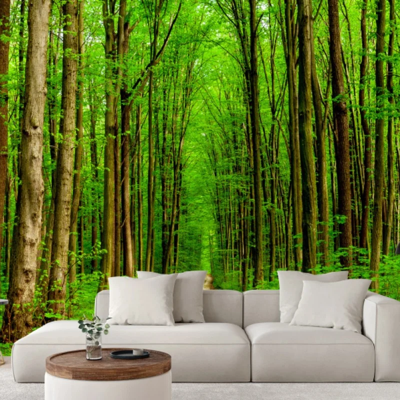 Fototapete grüner waldweg im frühling – Wallnifity®