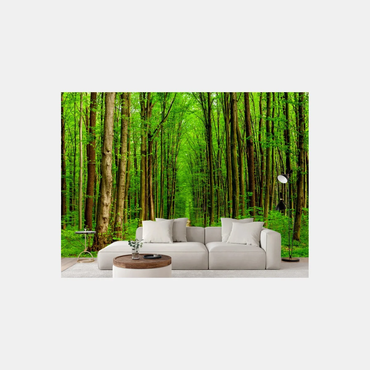 Fototapete grüner waldweg im frühling – Wallnifity®