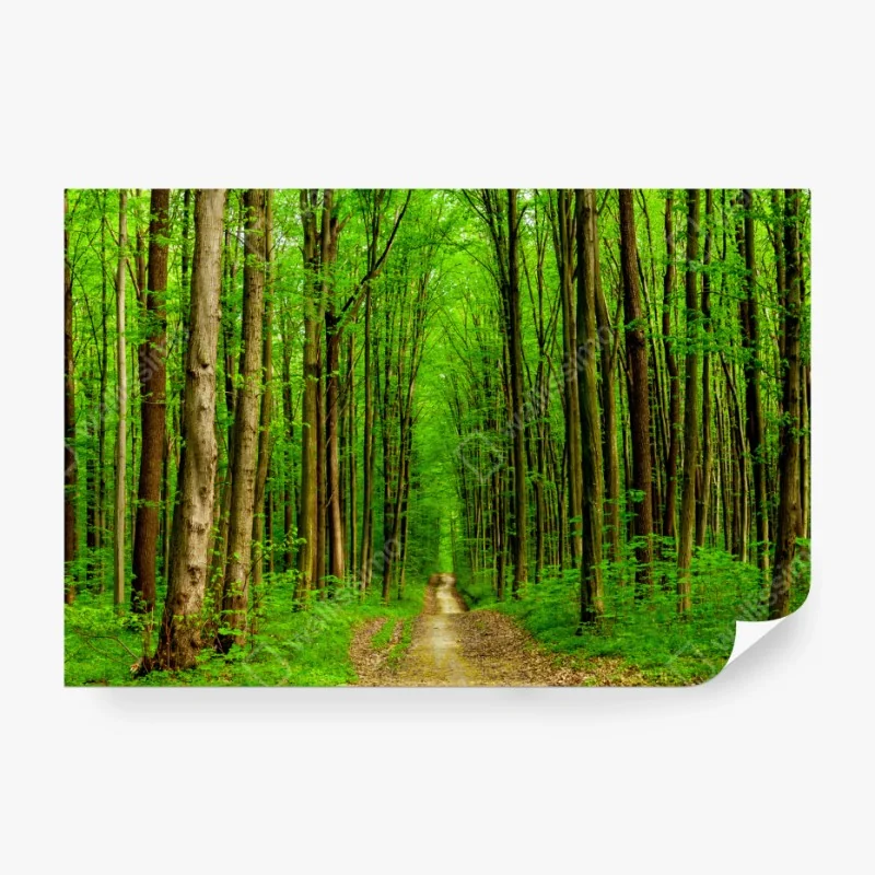 Fototapete tropische dschungel-wildtierszene – Wallnifity®