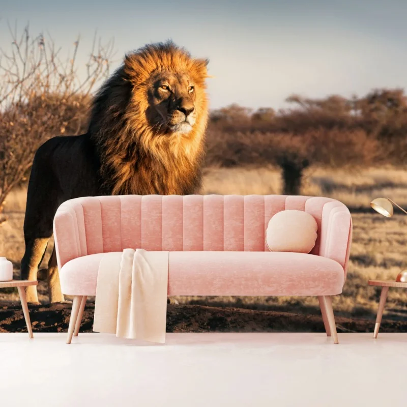 Fototapete majestätischer löwe auf der savanne – Wallnifity®