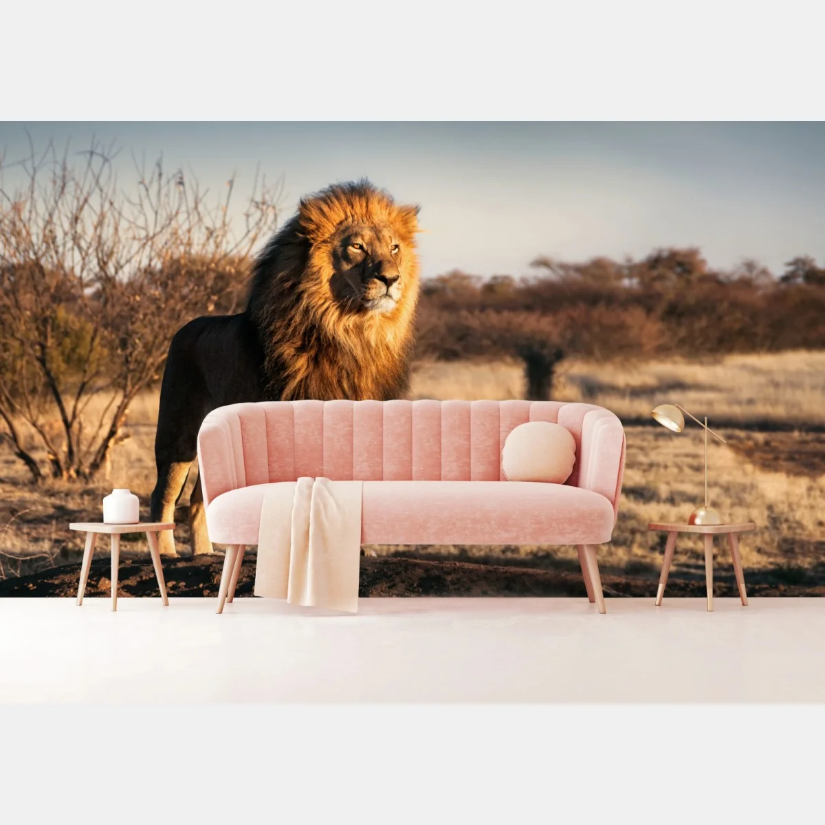 Fototapete majestätischer löwe auf der savanne – Wallnifity®