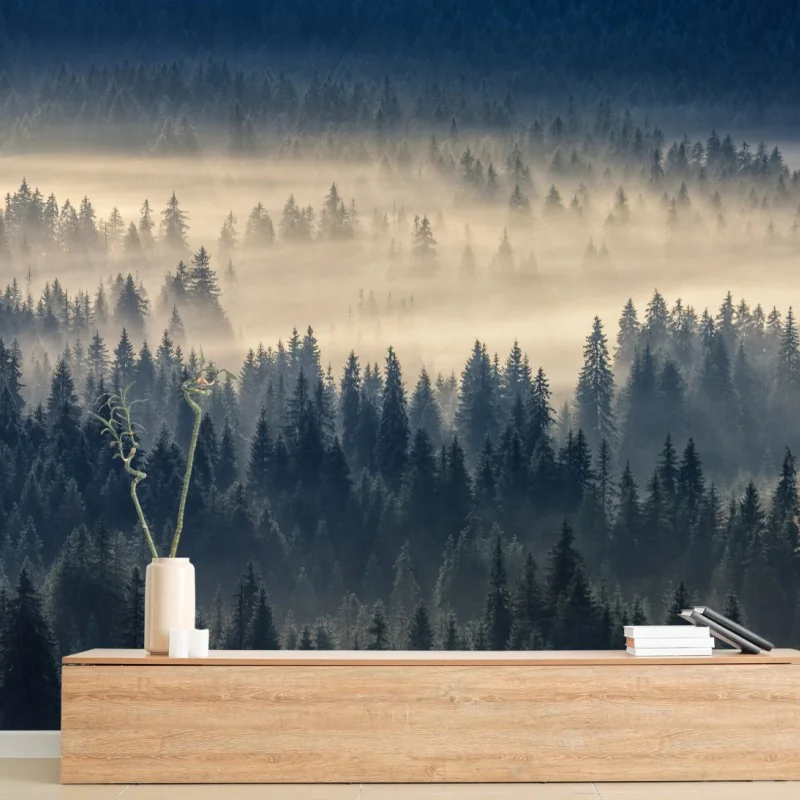 Fototapete nebliges fichtental im dämmerlicht
