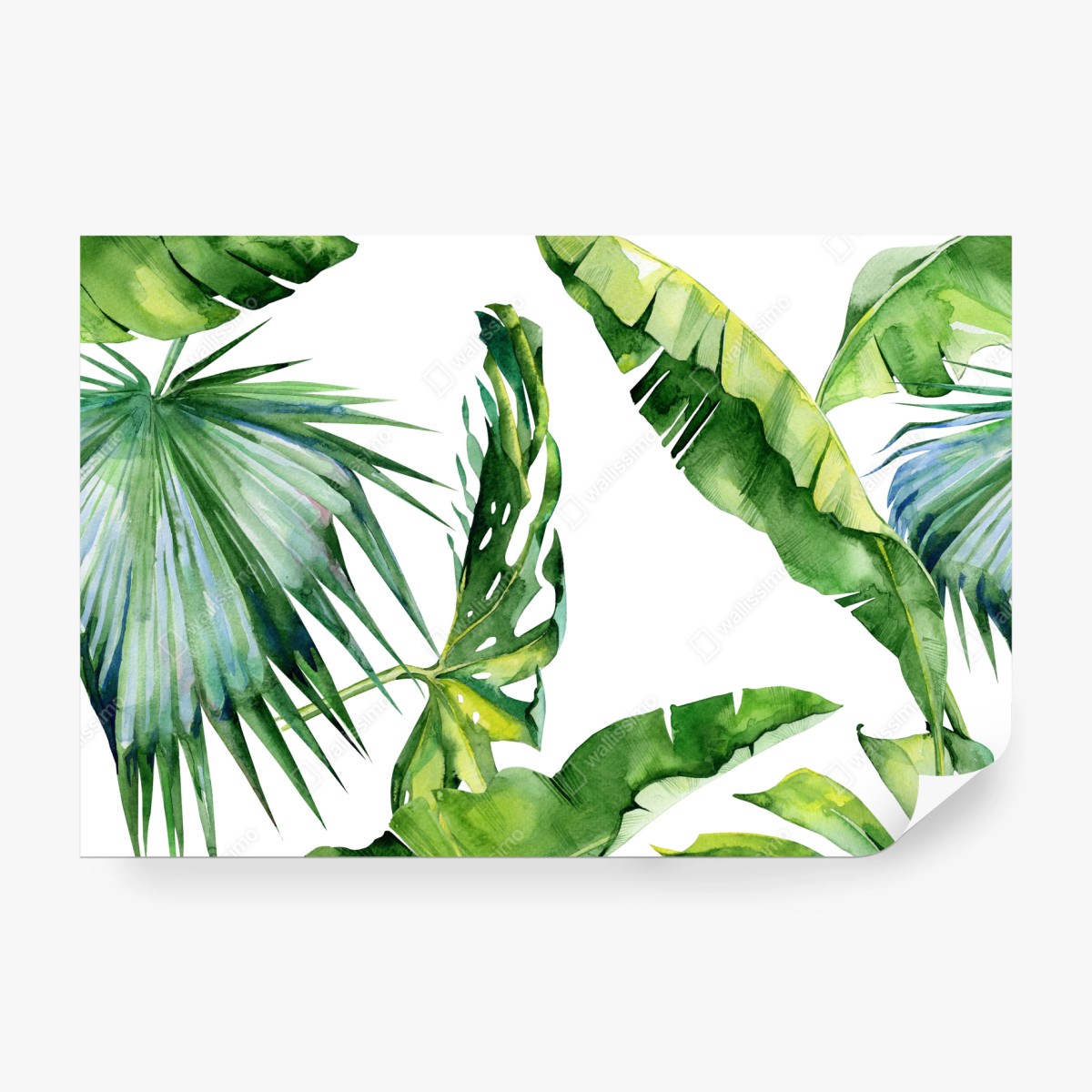 Fototapete tropisches aquarell palmblätter design – Wallnifity® Fototapete tropisches aquarell palmblätter design – Wallnifity®