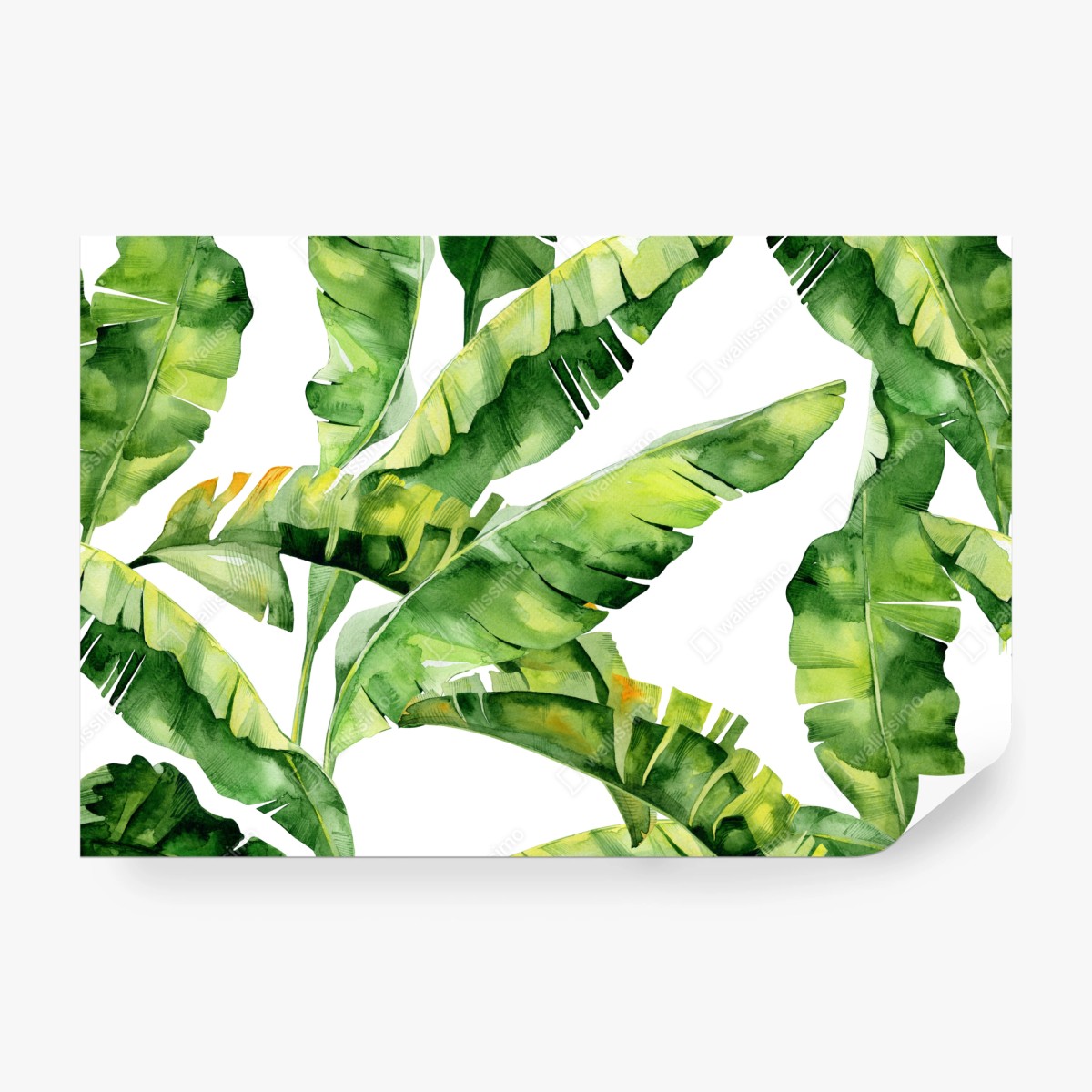 Fototapete tropisches bananenblatt aquarellmuster – Wallnifity® Fototapete tropisches bananenblatt aquarellmuster – Wallnifity®