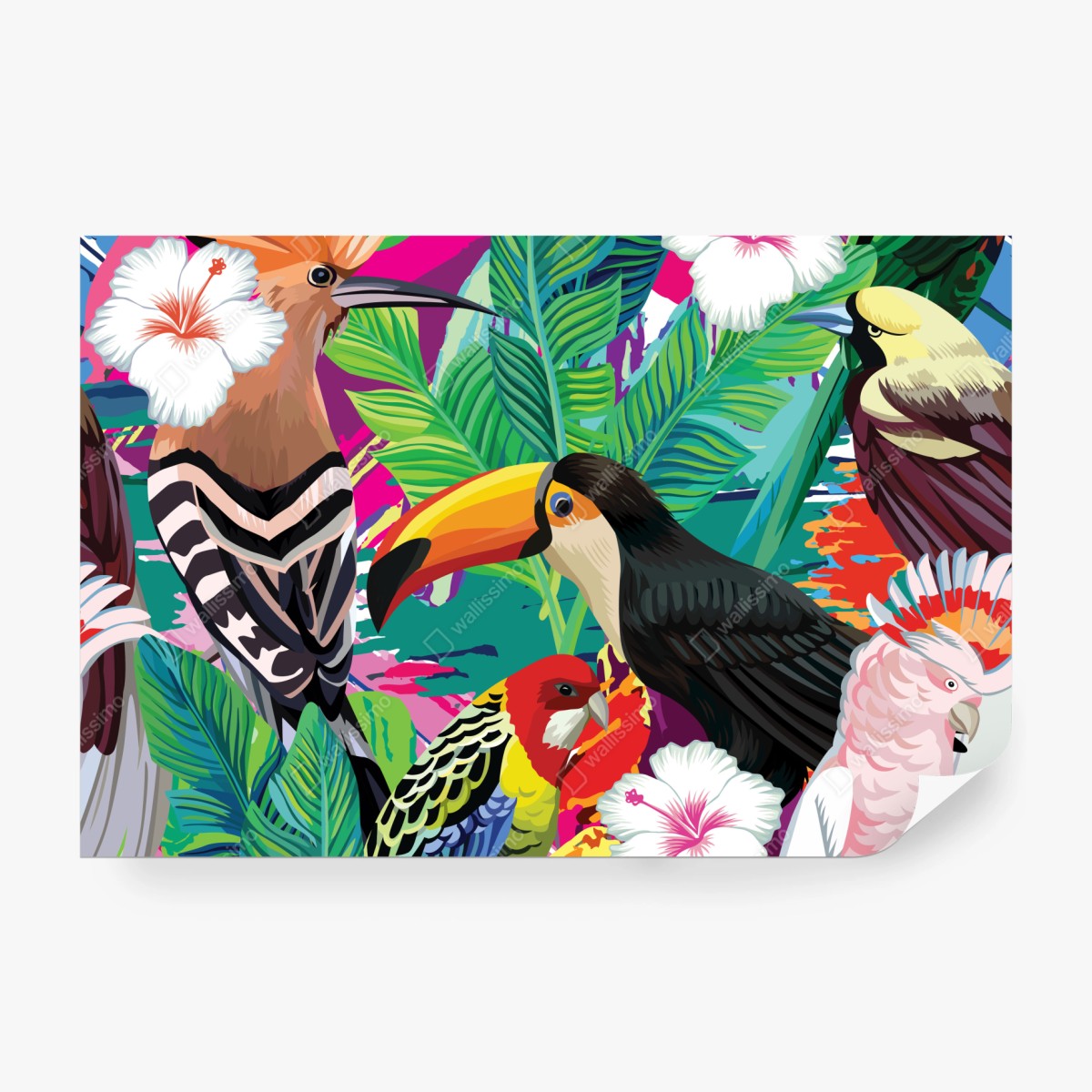 Fototapete leuchtende tropische vögel im dschungel – Wallnifity® Fototapete leuchtende tropische vögel im dschungel – Wallnifity®