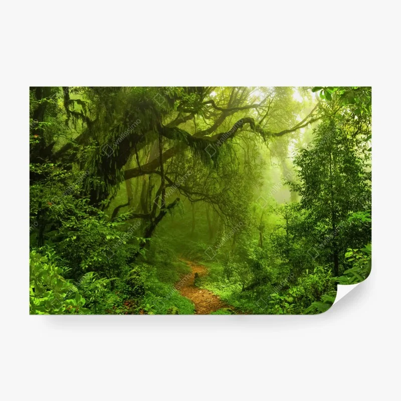 Fototapete leuchtturm am ende des stegs – Wallnifity®