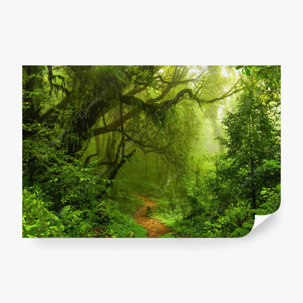 Fototapete üppiger grüner waldpfad – Wallnifity® Fototapete üppiger grüner waldpfad – Wallnifity®