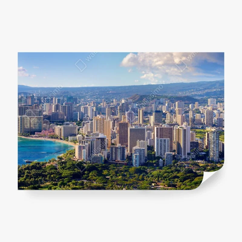 Fototapete lebendige abstrakte gesichter mit katze und vogel – Wallnifity®