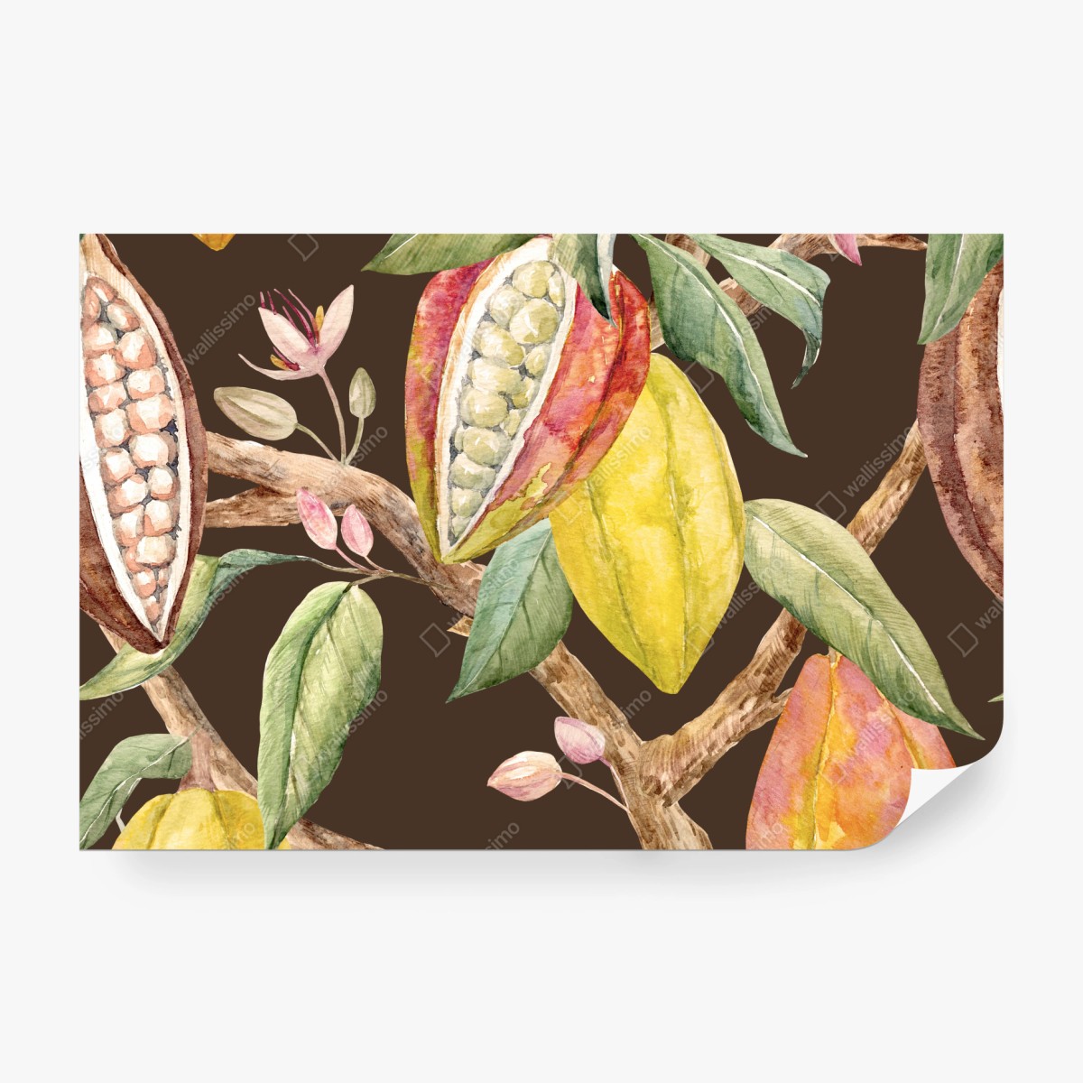 Fototapete aquarell kakaofrüchte botanisches muster – Wallnifity® Fototapete aquarell kakaofrüchte botanisches muster – Wallnifity®