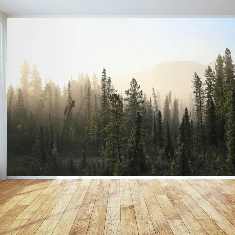 Fototapete nebliger kiefernwald bei sonnenaufgang – Wallnifity® Fototapete nebliger kiefernwald bei sonnenaufgang – Wallnifity®